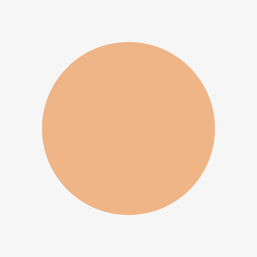 Acorn Color Swatch